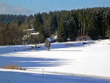 Winter am Oberen Wasserl�ufer Teich