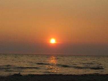 Ferienwohnung in Ostseebad Baabe (Ostsee-Inseln) oder Ferienwohnung oder Ferienhaus