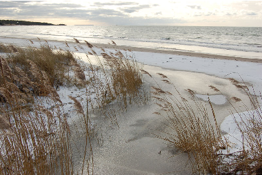 Ferienhaus in Romakloster  (Gotland) oder Ferienwohnung oder Ferienhaus