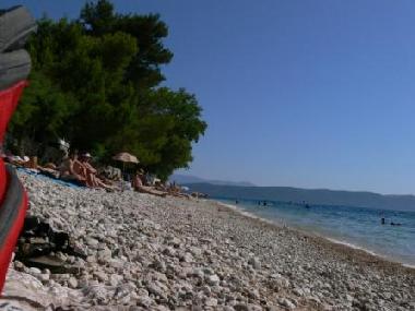 Ferienwohnung in Vir  (Zadarska) oder Ferienwohnung oder Ferienhaus