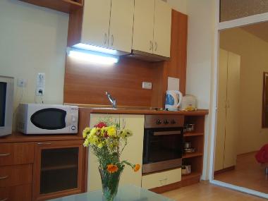 Ferienwohnung in Beli Iskar (Sofiya) oder Ferienwohnung oder Ferienhaus