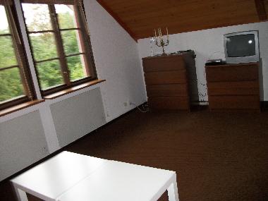 Wohnzimmer mit Sat Fernsehen