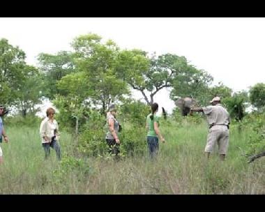 Pension in Southern Kruger Park (Mpumalanga) oder Ferienwohnung oder Ferienhaus