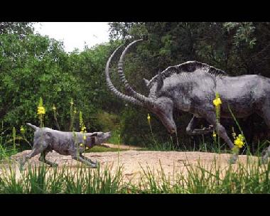 Pension in Southern Kruger Park (Mpumalanga) oder Ferienwohnung oder Ferienhaus