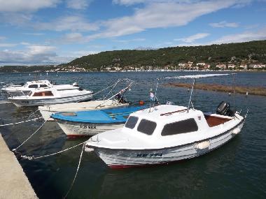 Ferienhaus in Insel-Rab (Primorsko-Goranska) oder Ferienwohnung oder Ferienhaus