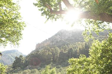 Ferienhaus in Mystras (Lakonia) oder Ferienwohnung oder Ferienhaus