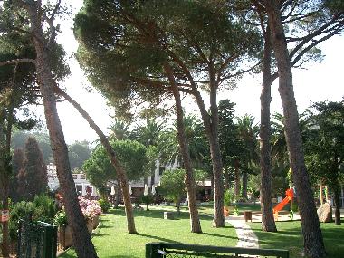 Palmengarten und Spielplatz