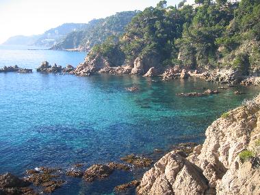 Ausgebauter Weg zu den Brckchen
