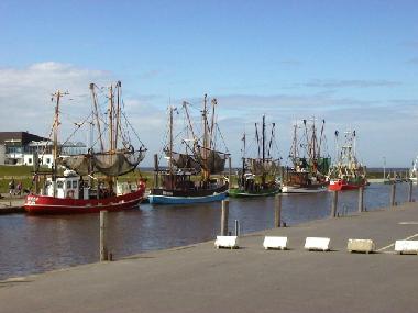 Ferienhaus in Dorum-Neufeld (Nordsee-Festland / Ostfriesland) oder Ferienwohnung oder Ferienhaus