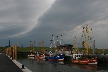 Ferienhaus in Dorum-Neufeld (Nordsee-Festland / Ostfriesland) oder Ferienwohnung oder Ferienhaus