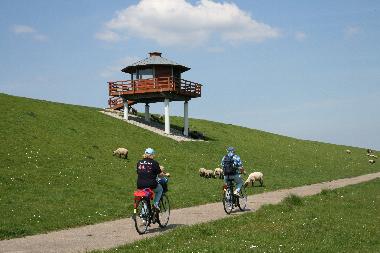 Ferienhaus in Dorum-Neufeld (Nordsee-Festland / Ostfriesland) oder Ferienwohnung oder Ferienhaus