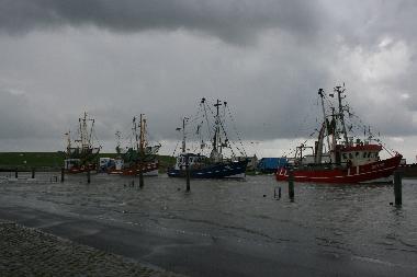 Ferienhaus in Dorum-Neufeld (Nordsee-Festland / Ostfriesland) oder Ferienwohnung oder Ferienhaus