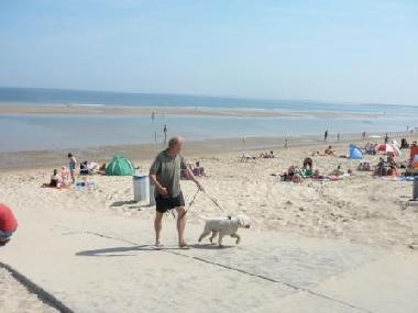 Chalet in Renesse (Zeeland) oder Ferienwohnung oder Ferienhaus