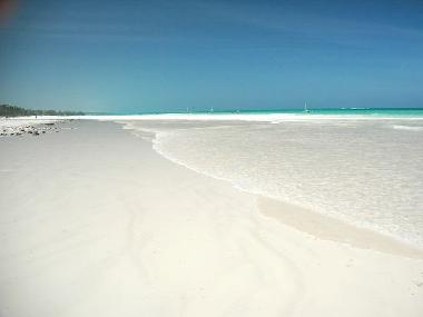 Ferienhaus in Diani (Coast) oder Ferienwohnung oder Ferienhaus