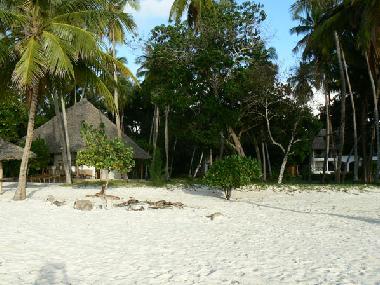 Ferienhaus in Diani (Coast) oder Ferienwohnung oder Ferienhaus