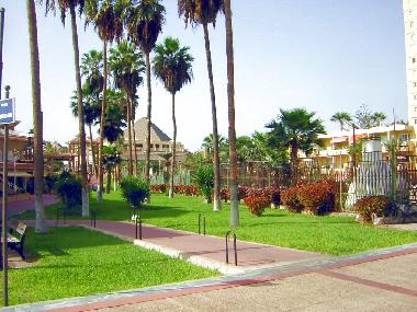 Ferienhaus in Los Christianos (Teneriffa) oder Ferienwohnung oder Ferienhaus