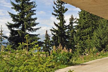 Ferienwohnung in Bettmeralp (Aletsch) oder Ferienwohnung oder Ferienhaus