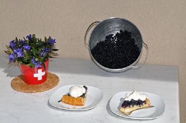 Ferienwohnung in Bettmeralp (Aletsch) oder Ferienwohnung oder Ferienhaus