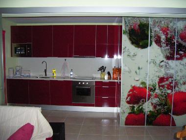 Ferienwohnung in barra ilhavo (Pinhal Litoral) oder Ferienwohnung oder Ferienhaus