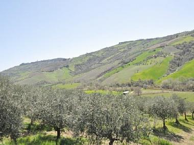 Ferienhaus in Tre ciminiere di Atri (Teramo) oder Ferienwohnung oder Ferienhaus