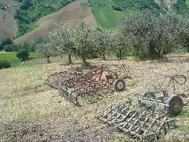Ferienhaus in Tre ciminiere di Atri (Teramo) oder Ferienwohnung oder Ferienhaus
