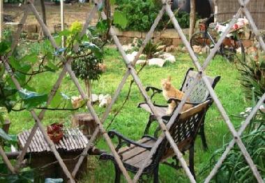 Ferienhaus in Alghero (Sassari) oder Ferienwohnung oder Ferienhaus