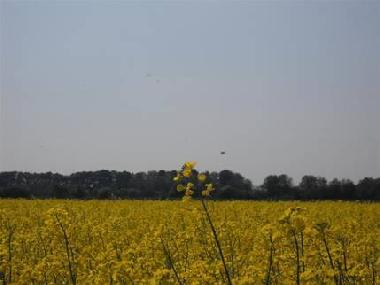 Ferienwohnung in Kranenburg-Mehr (Niederrhein) oder Ferienwohnung oder Ferienhaus