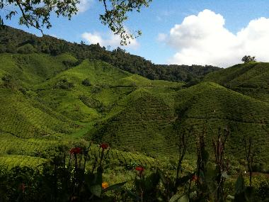 Ferienwohnung in Tanah Rata (Pahang) oder Ferienwohnung oder Ferienhaus