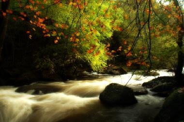 Ferienwohnung in Woolacombe (South West) oder Ferienwohnung oder Ferienhaus