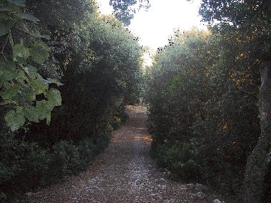 Pension in Sassari (Sassari) oder Ferienwohnung oder Ferienhaus