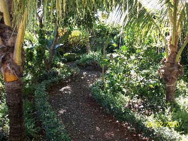 Ferienwohnung in albion (Black River) oder Ferienwohnung oder Ferienhaus