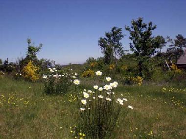 Naturgrundst�ck