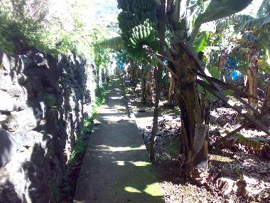 Ferienhaus in Arco da Calheta (Madeira) oder Ferienwohnung oder Ferienhaus