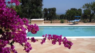 Ferienhaus in Carovigno (Brindisi) oder Ferienwohnung oder Ferienhaus