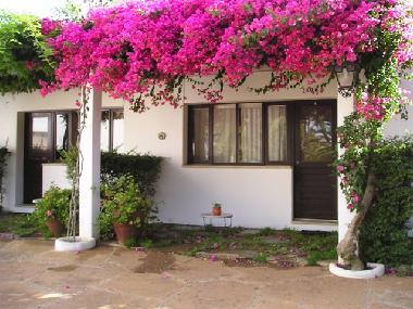 Ferienhaus in Lagos (Algarve) oder Ferienwohnung oder Ferienhaus