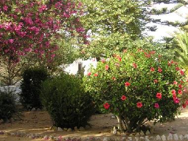 Ferienhaus in Lagos (Algarve) oder Ferienwohnung oder Ferienhaus