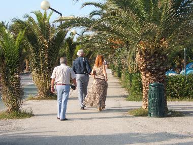 auf der palmenbewachsen Uferpromenade
