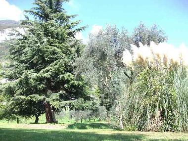 Ferienhaus in Mezzegra (Como) oder Ferienwohnung oder Ferienhaus