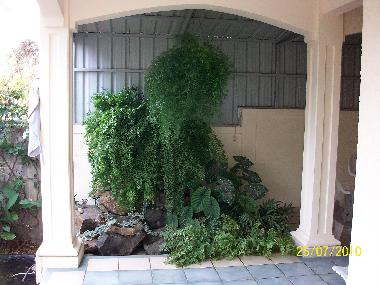 Ferienwohnung in albion (Black River) oder Ferienwohnung oder Ferienhaus