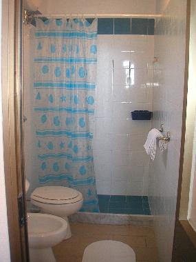 Badezimmer mit Dusche und WC