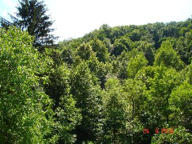Ferienhaus in Ciginj (Tolmin) oder Ferienwohnung oder Ferienhaus