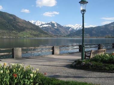 Ferienwohnung in Saalbach (Pinzgau-Pongau) oder Ferienwohnung oder Ferienhaus