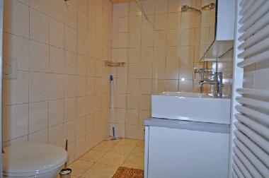 Ferienwohnung in Fiesch (Aletsch) oder Ferienwohnung oder Ferienhaus