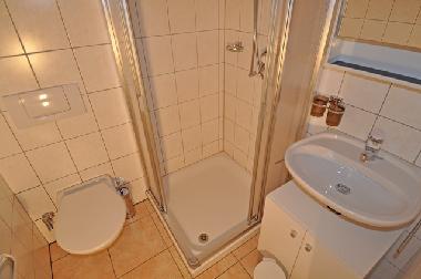 Ferienwohnung in Fiesch (Aletsch) oder Ferienwohnung oder Ferienhaus