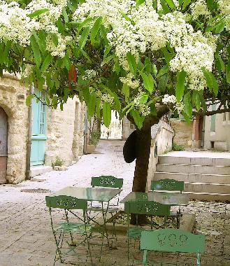 Ferienwohnung in Uzes (Gard) oder Ferienwohnung oder Ferienhaus