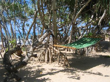 Yukka-Wldchen zum Relaxen