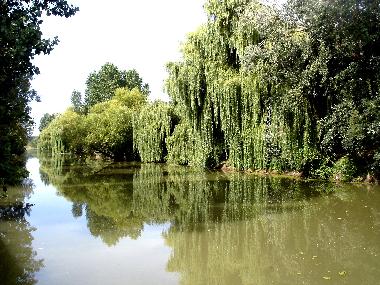 Ferienhaus in LA TAILLEE (Vend�e) oder Ferienwohnung oder Ferienhaus