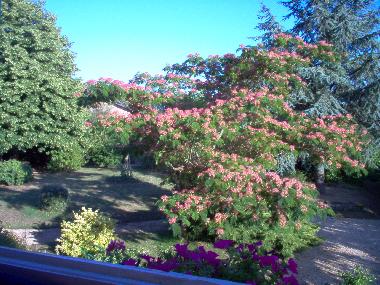 Pension in Souvigne (Deux-S�vres) oder Ferienwohnung oder Ferienhaus