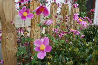 Ferienhaus in Falisolle (Wallonien) oder Ferienwohnung oder Ferienhaus