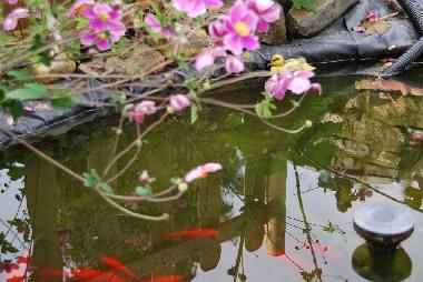 Ferienhaus in Falisolle (Wallonien) oder Ferienwohnung oder Ferienhaus